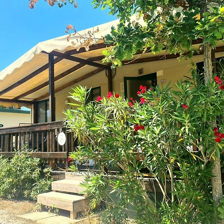 Comfortabele Familie Chalets Met Veranda Incl Airco Dichtbij Zee! เวียเรจโจ ภายนอก รูปภาพ